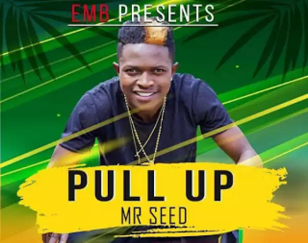 Mr Seed - Pull Up